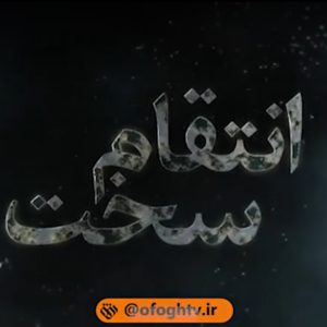 حاج قاسم از کجا می آمد و چطور شهید شد؟ | شبکه افق