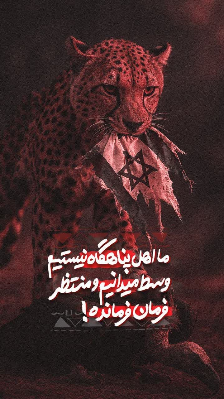تصویر شاخص