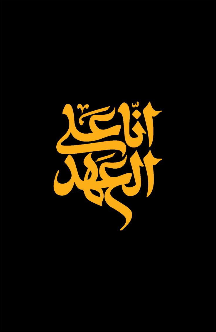 تصویر شاخص