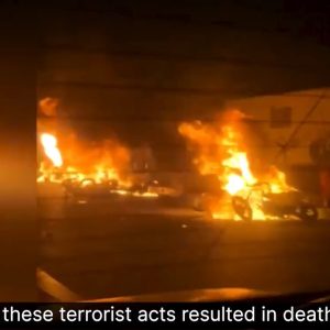 damage caused by terrorist elements