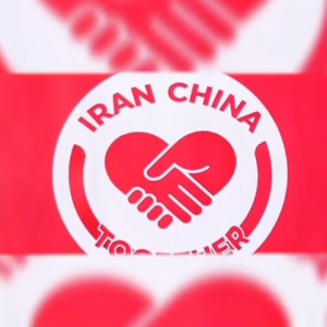 کلیپ موکب چینی‌ها در ایران | مجموعه کلیپ "یک ایران همدل"