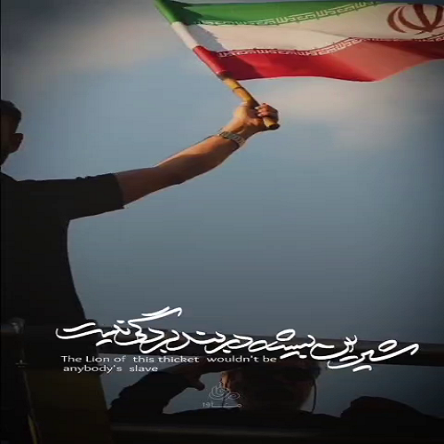 تصویر شاخص