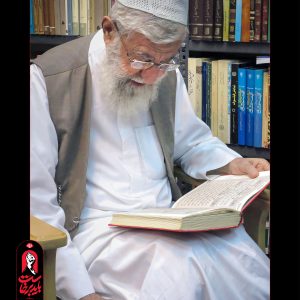استرابورد و عکس عمودی 10 | مجموعه فضاسازی بدرقه «آقای شهید ایران»