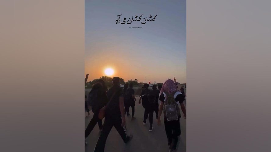 تصویر شاخص