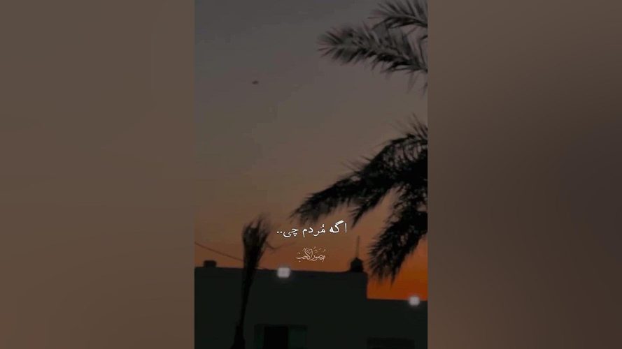 تصویر شاخص