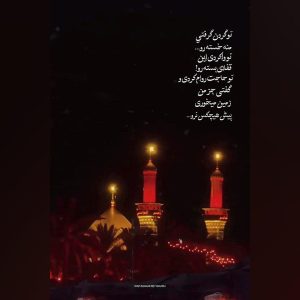استوری حرم امام حسین (ع) | تو گردن گرفتی منِ خسته رو...