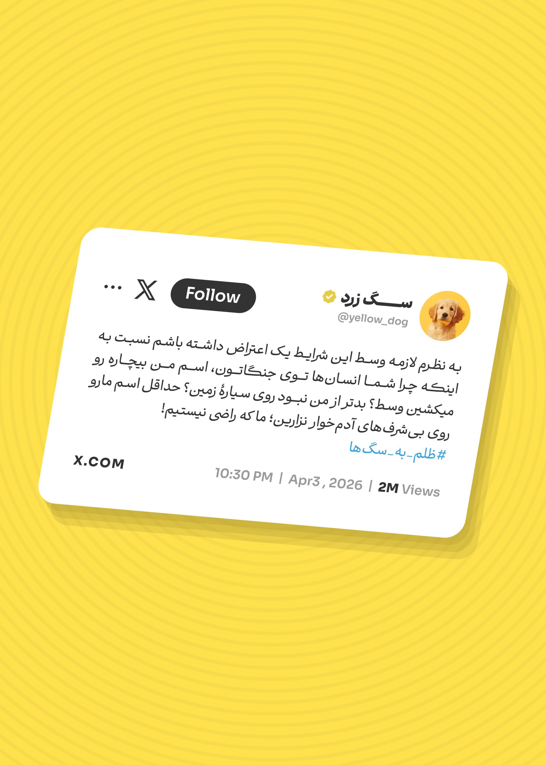 تصویر شاخص