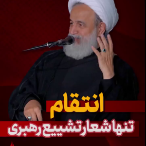 کلیپ انتقام، تنها شعار تشییع رهبری | بیان حجت الاسلام پناهیان