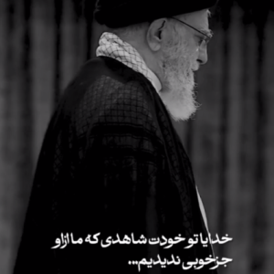 استوری موشن جز خوبی ندیدیم ازش | رهبر شهید مردم