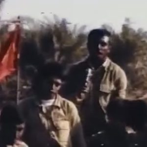 کلیپ هرمز نماد مقاومت و استقامت ؛ حجه الاسلام پناهیان از روحیه استقامت این جزیره سخن گفت