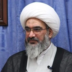 مطالبه انتقام مهم‌ترین مطالبه ماست | حجت‌الاسلام والمسلمین صفایی بوشهری
