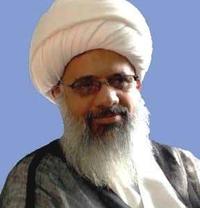 اگر خونخواهی امام شهید را نکنیم، ظهور عقب خواهد افتاد | هشدار آیت‌الله قرهی به مردم ایران